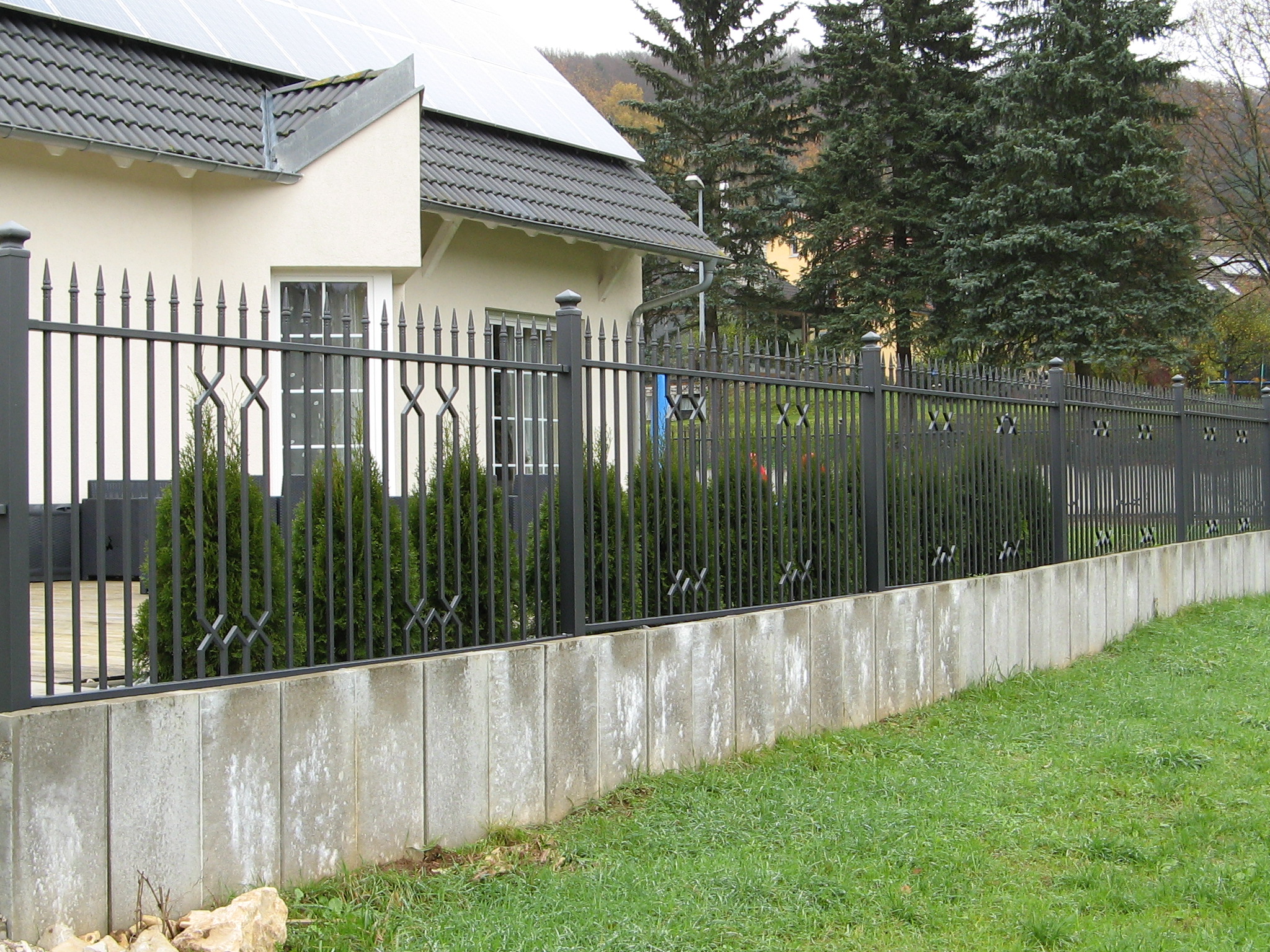 Frontzaun Galeriebild 23